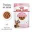 85 g Royal Canin Kitten Sterilised salsa sobre para gatos, , large indicador imagen numero 2